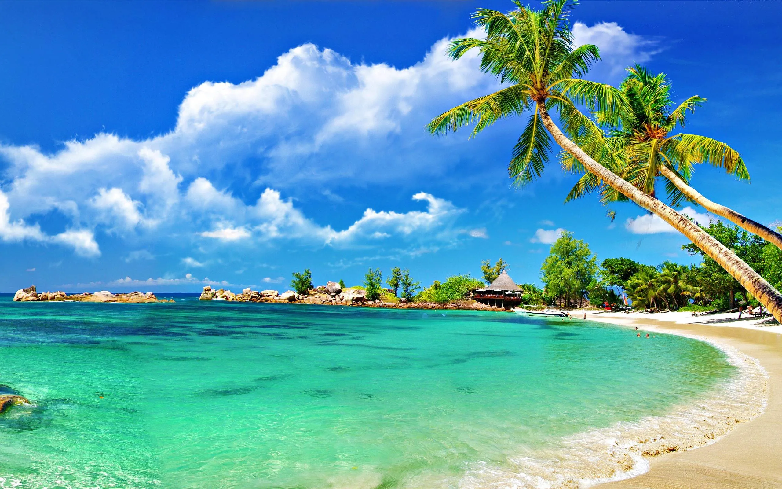 Goa beech